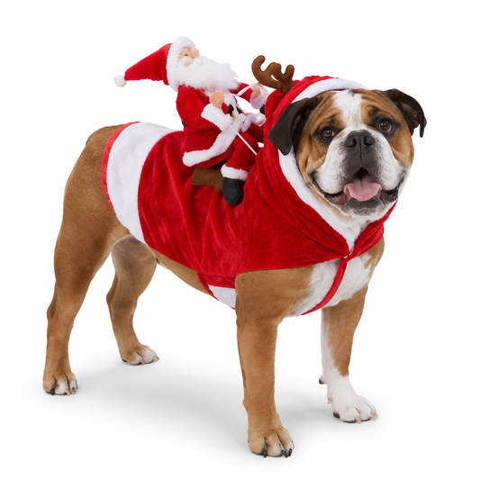 Disfraz de perro Papá Noel ciclista