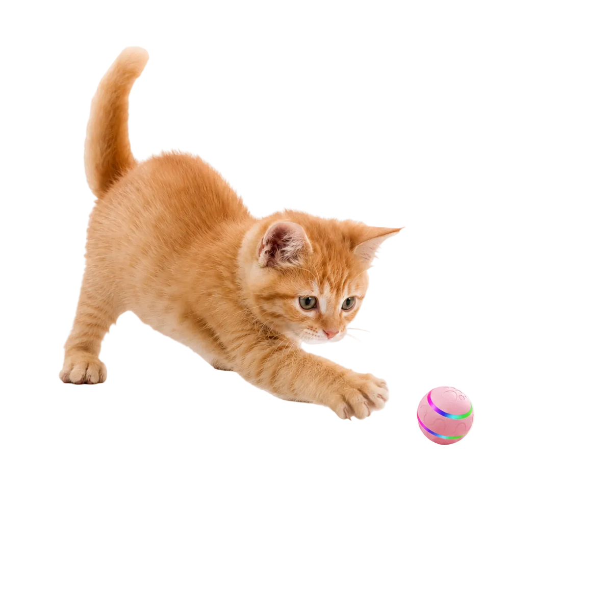 Intelligent Ball Toy