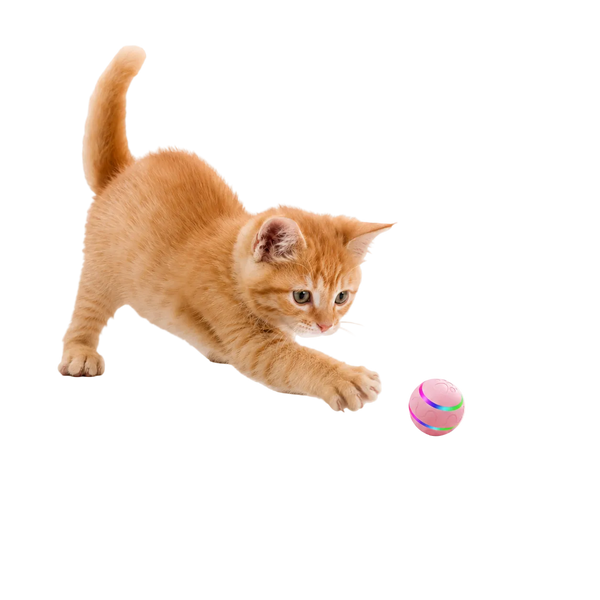 Intelligent Ball Toy