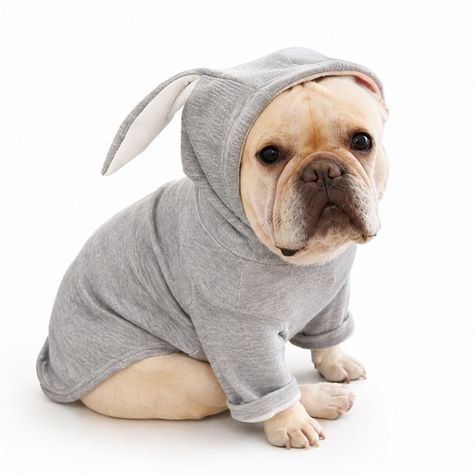 Comfy Dog Clothing
